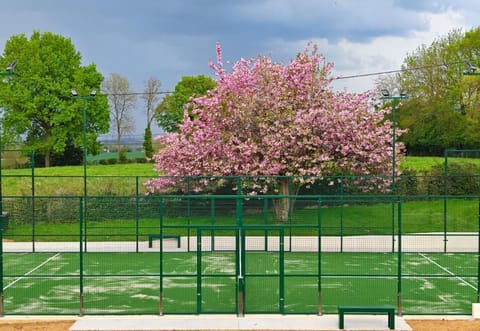 Spring, Day, Squash, Tennis court