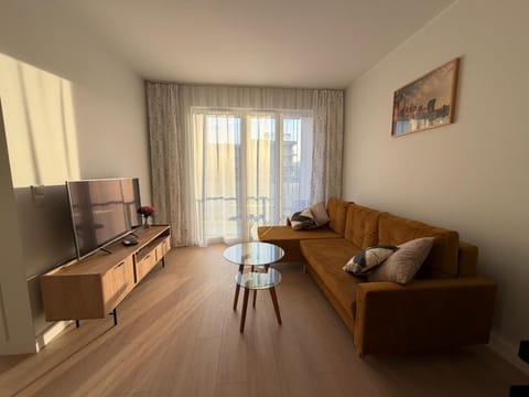 Communal lounge/ TV room, Balcony/Terrace, Living room