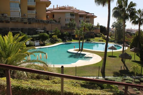 Natural landscape, Garden, Garden view, Pool view, Swimming pool, sunbed