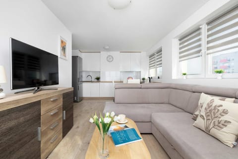 TV and multimedia, Kitchen or kitchenette, Living room, Seating area, Evening entertainment
