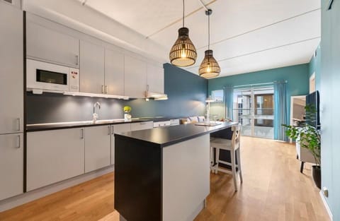 Kitchen or kitchenette, Dining area, dishwasher, stove