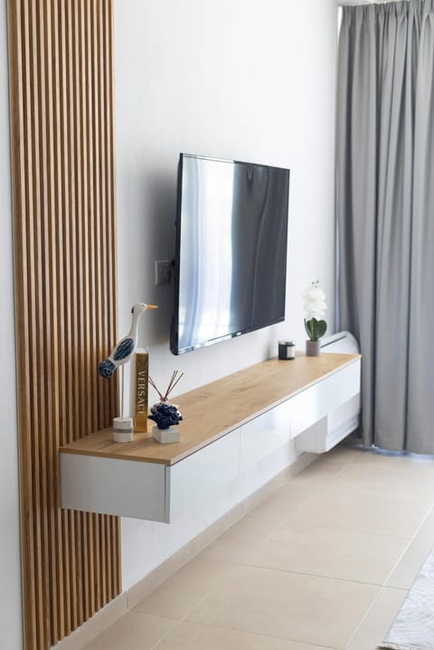 TV and multimedia