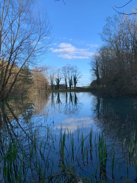 Lake view