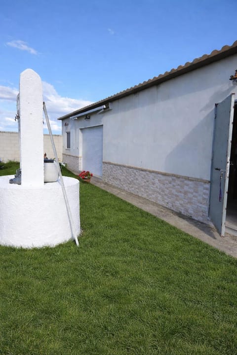 Property building, Day, Garden