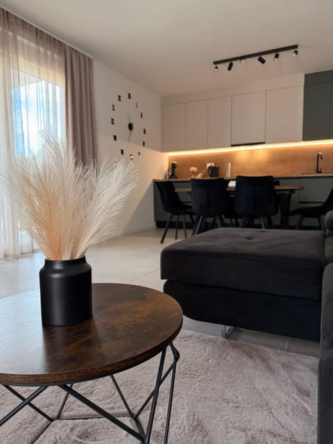 Living room, kitchen