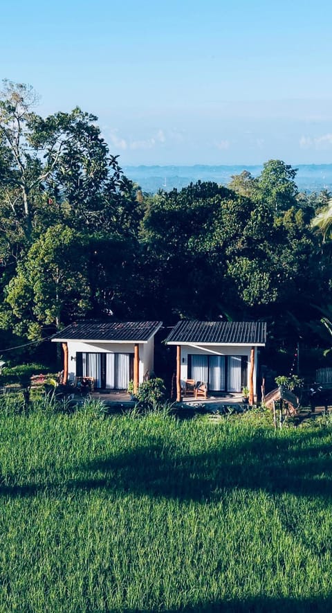 Property building, Day, Natural landscape, Garden, Garden view