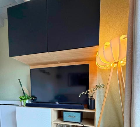 TV and multimedia