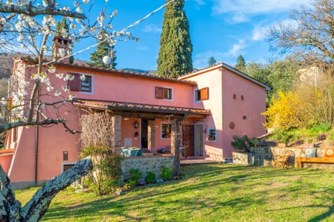 Property building, Spring, Garden, Garden view