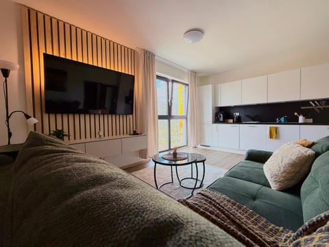 Bed, TV and multimedia, Kitchen or kitchenette, Living room, Seating area