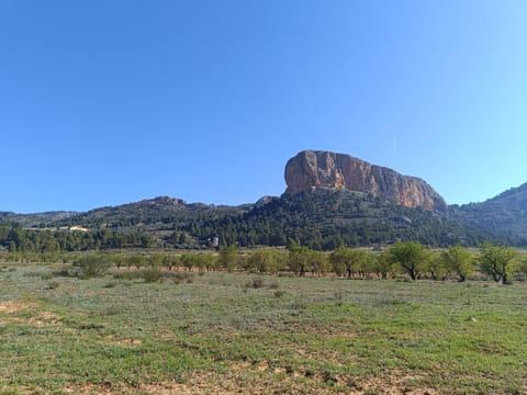 Property view