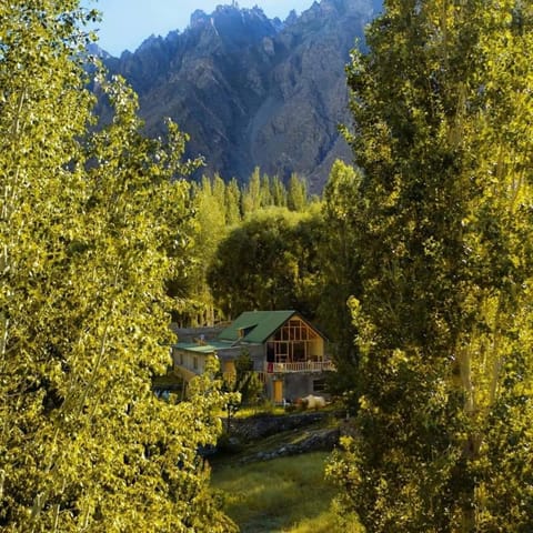 Property view