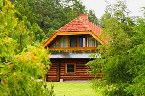 Property building, Spring, Day, Natural landscape, Garden, Garden view