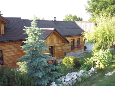 Property building, Garden, Garden view