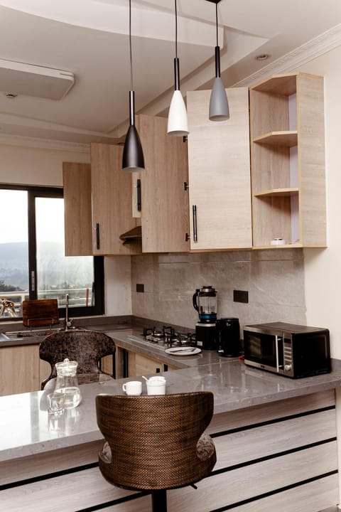 Kitchen or kitchenette, kitchen
