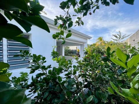 Garden, Garden view