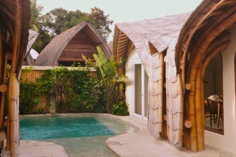 Day, Garden, Pool view, Swimming pool