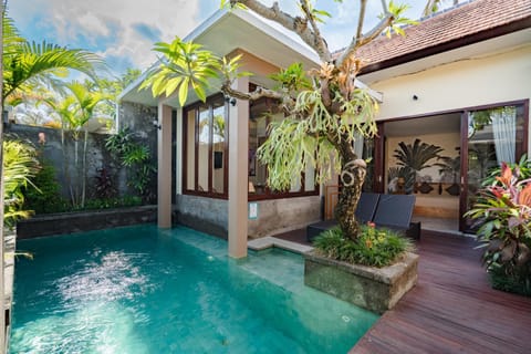 Pool view, Swimming pool, sunbed
