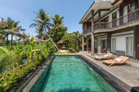 Garden, Pool view, Swimming pool