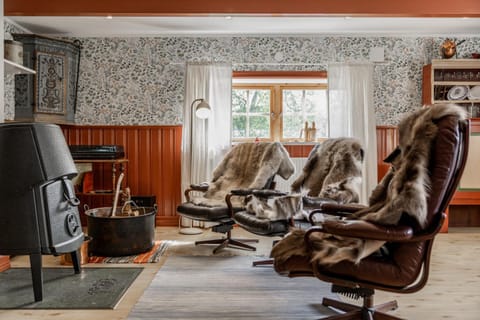 Living room, fireplace