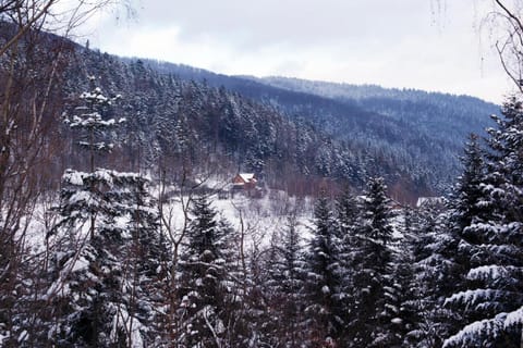 Property building, Natural landscape, Winter
