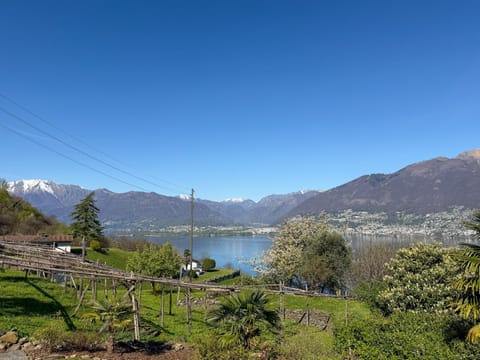Natural landscape