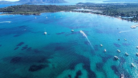 Bird's eye view, Beach