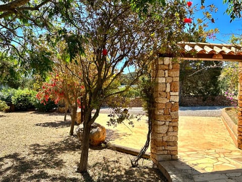 Day, Garden