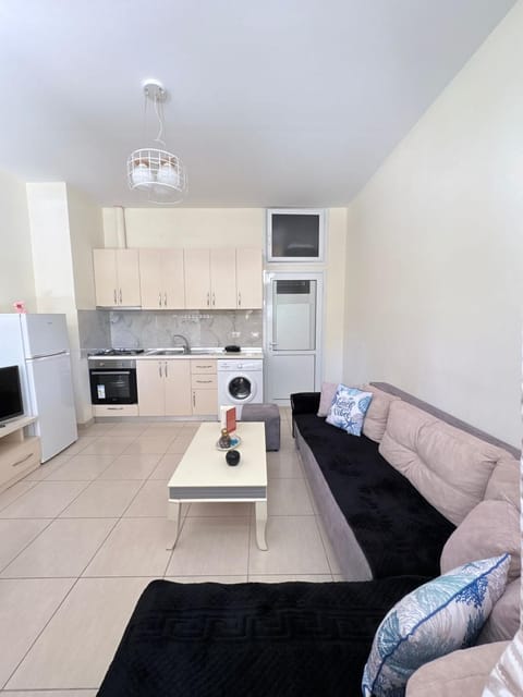 Kitchen or kitchenette, Living room, Seating area, Dining area, oven, toaster, washing machine