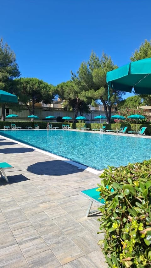 Day, Pool view, Swimming pool, sunbed