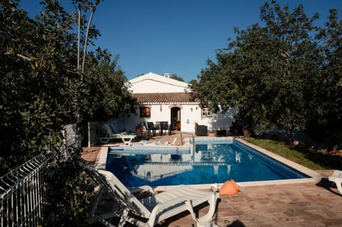 Pool view, Swimming pool, sunbed