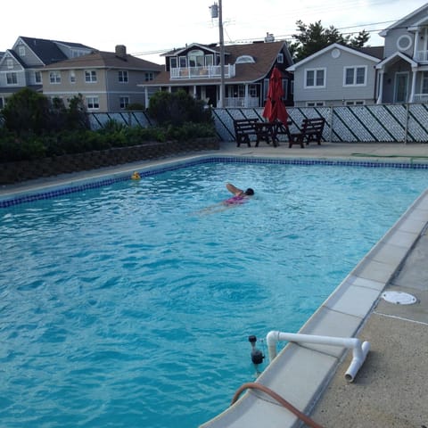 Day, Pool view, Swimming pool