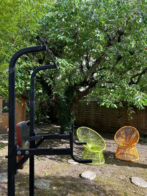 Day, Garden, Garden view