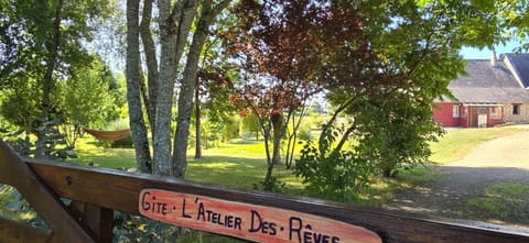 Natural landscape, Garden, Street view