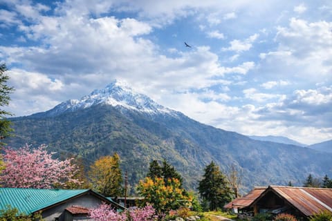 Natural landscape