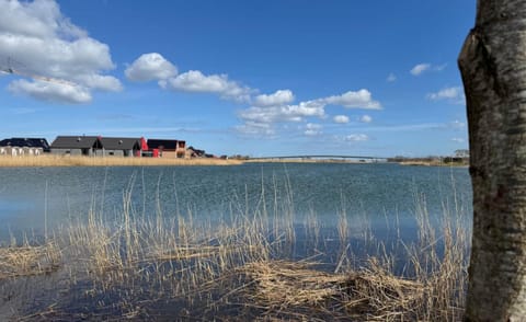 Lake view