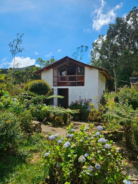 Property building, Natural landscape, Garden, Garden view
