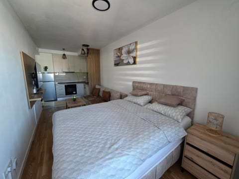 Bed, Kitchen or kitchenette, Photo of the whole room, Bedroom