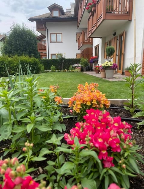 Summer, Garden