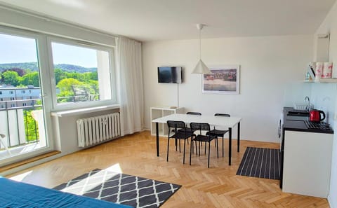 Balcony/Terrace, Kitchen or kitchenette, Living room, Dining area