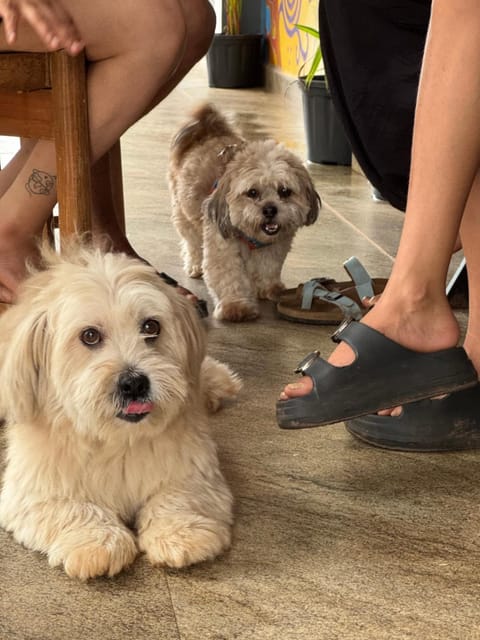 Patio, pet friendly