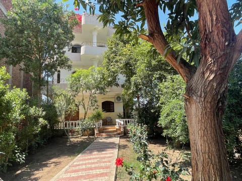 Property building, Garden