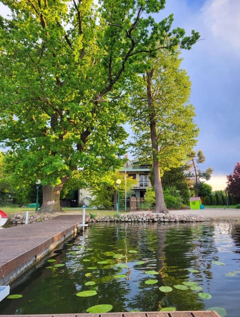 Natural landscape, Garden, Garden view, Lake view