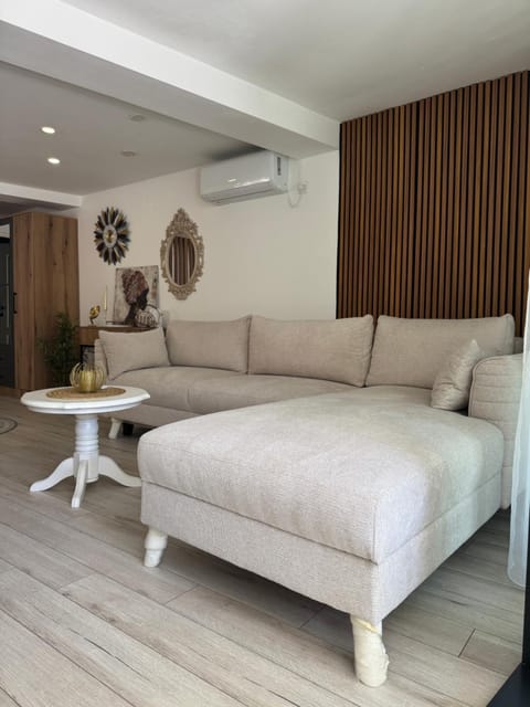 Living room, air conditioner