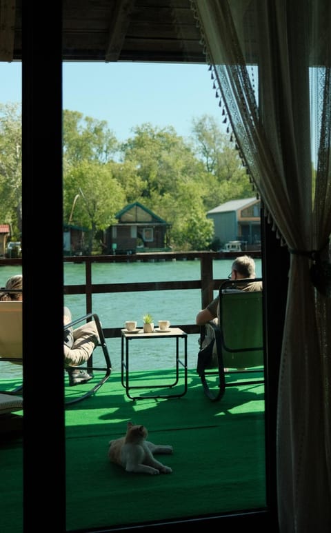 Day, People, Natural landscape, View (from property/room), Balcony/Terrace, Seating area, River view, group of guests