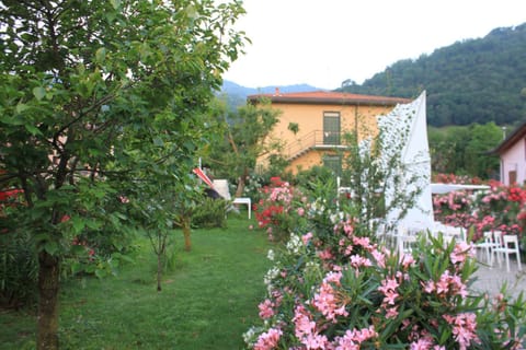 Day, Garden, Garden view