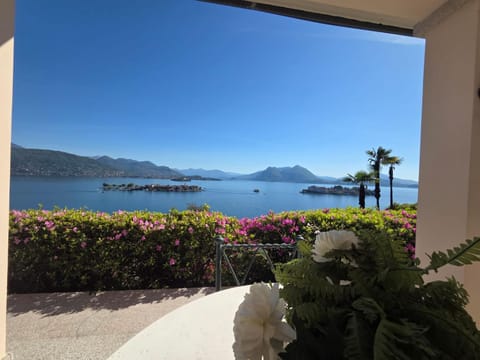 View (from property/room)