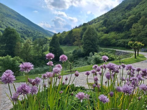 Natural landscape
