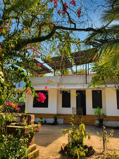 Property building, Spring, Day, Garden, Garden view