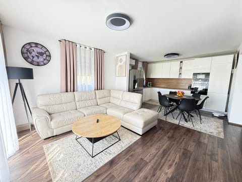 Living room, kitchen