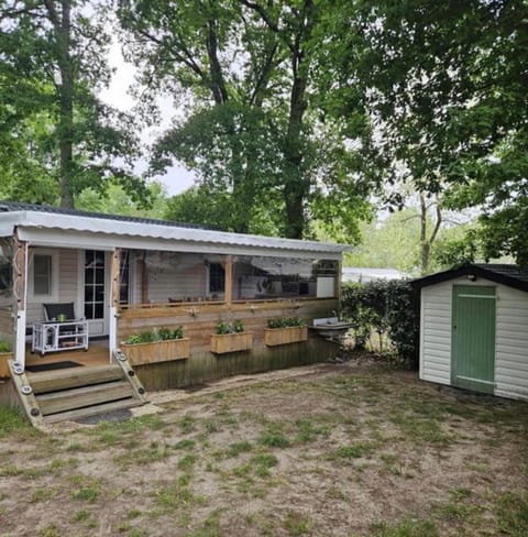Property building, Day, Garden view